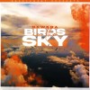 NEWERA — BIRDS IN THE SKY